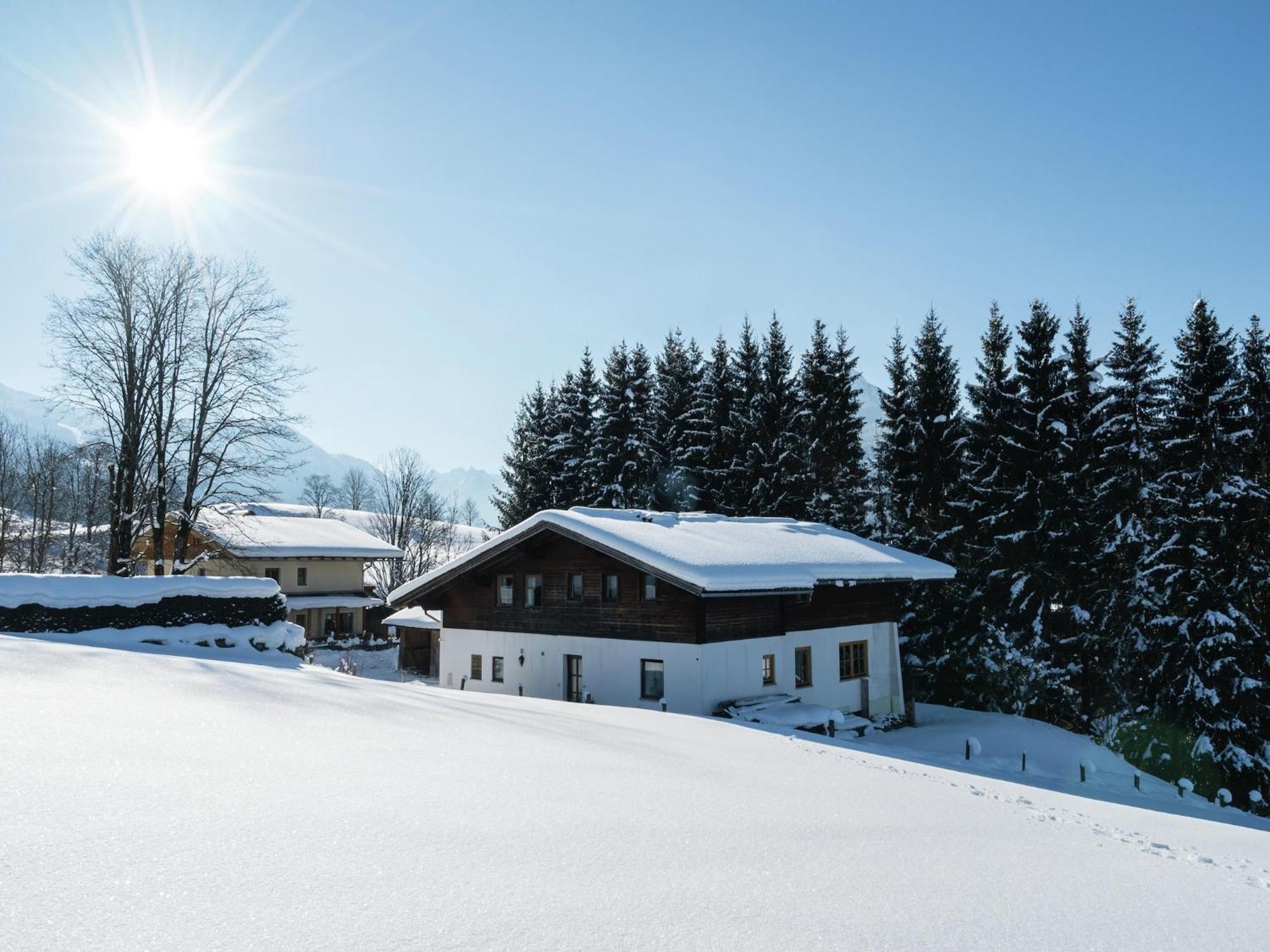 Apartment Near With Mountain View Flachau